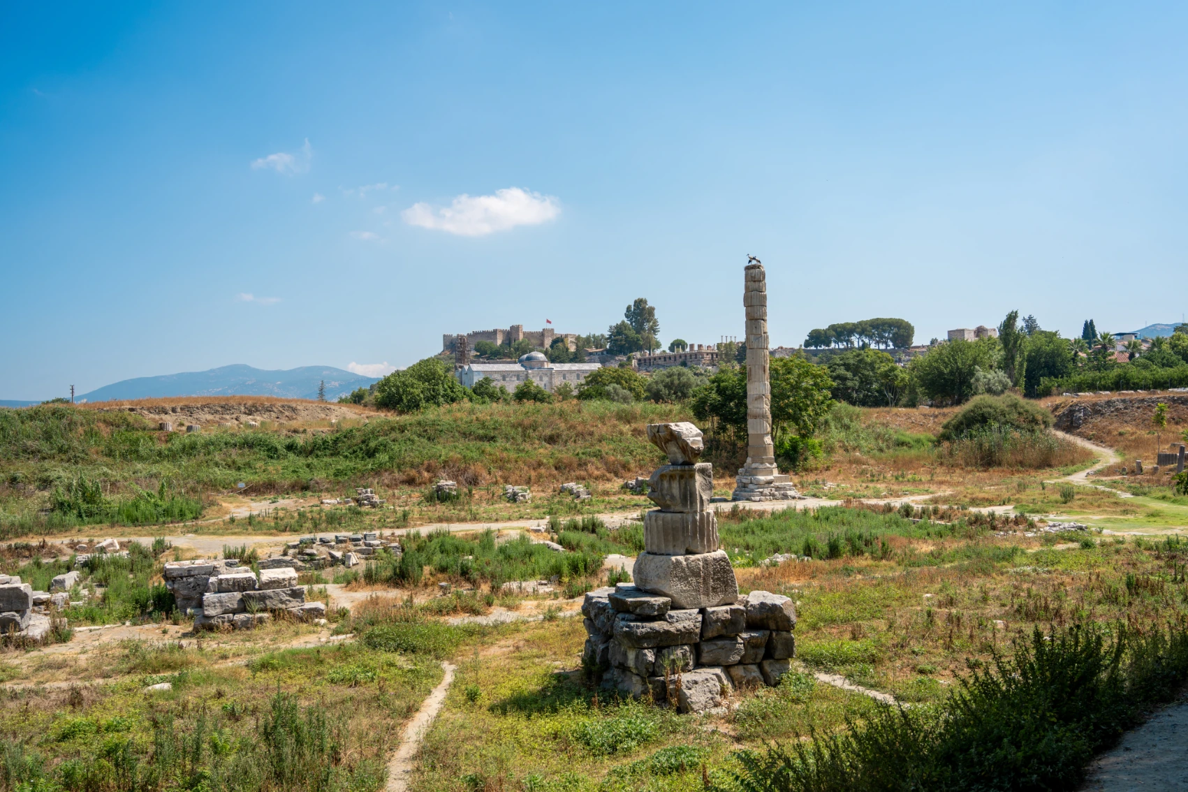 Temple of Artemis, Turkey Remains of columns in a field a the Temple of Artemis, Turkey