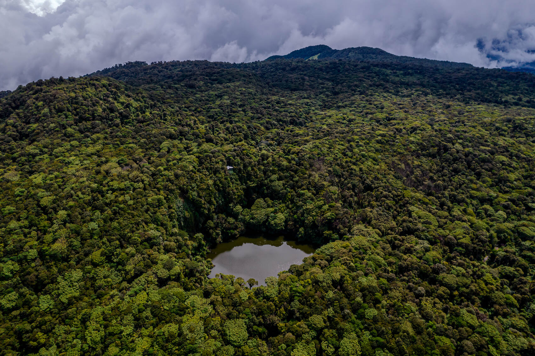 An aerial view of Braulio Carillo National Park with jungle and lake