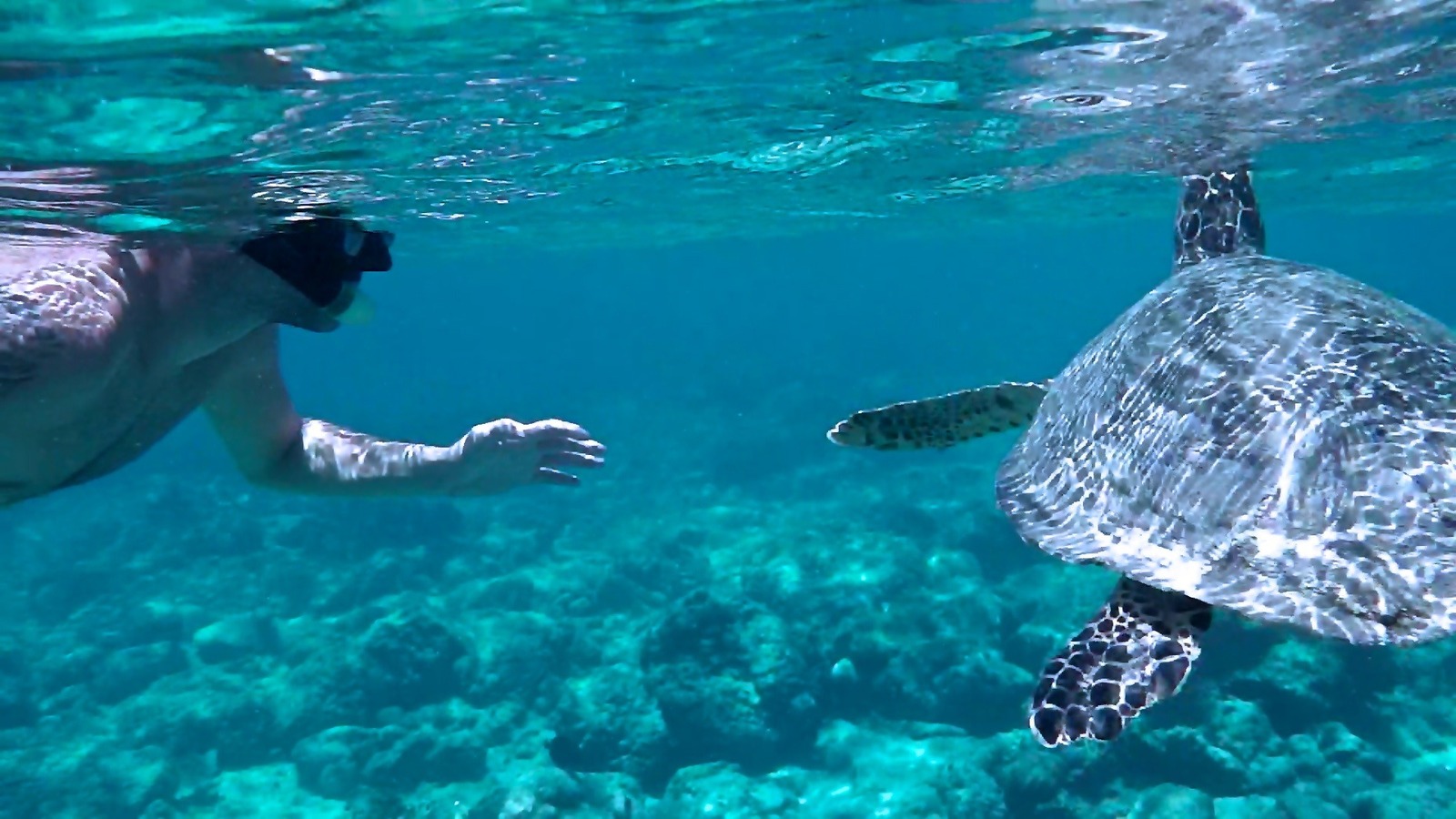 <p>"Breathtaking time spent snorkeling at Gili Air, Indonesia." Claire T., UK</p> "Breathtaking time spent snorkeling at Gili Air, Indonesia." Claire T., UK