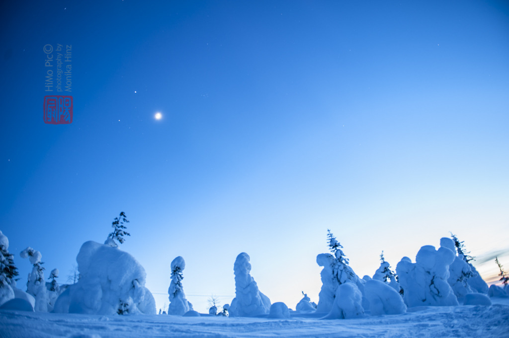 <p>"Waiting for the Northern Lights in the Blue Winter Eve of Finland." Monika H., Germany</p> "Waiting for the Northern Lights in the Blue Winter Eve of Finland." Monika H., Germany