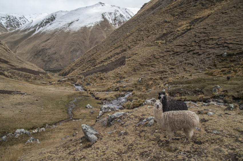 Cuncani valley.