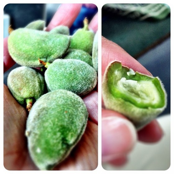 3 fuzzy almonds jordan
