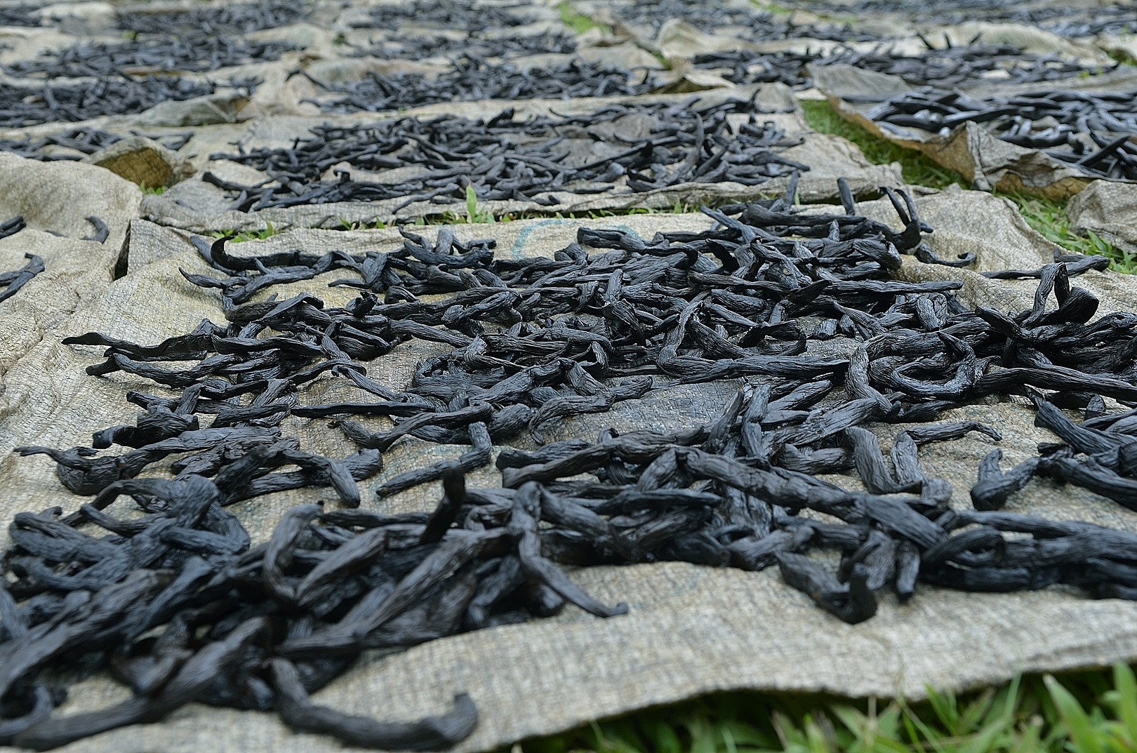 Three unique Costa Rica experiences G Adventures