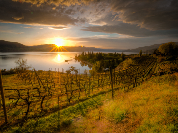 Sunset over the Okanagan. Photo courtesy Dan Stayner.