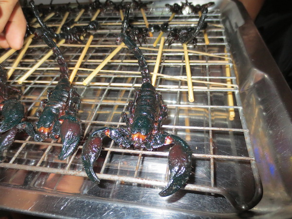 <p>Fried scorpions from Koh San Road in Bangkok.</p> Fried scorpions from Koh San Road in Bangkok.