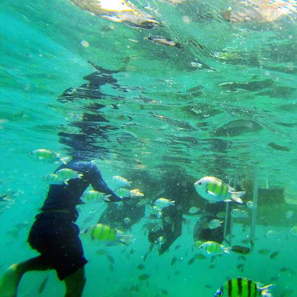 The warm, shallow waters waiting to be explored.