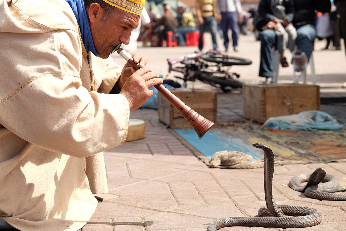 Marrakech’s legendary square is filling up with vendors, juice stands and traffic—and other performers.