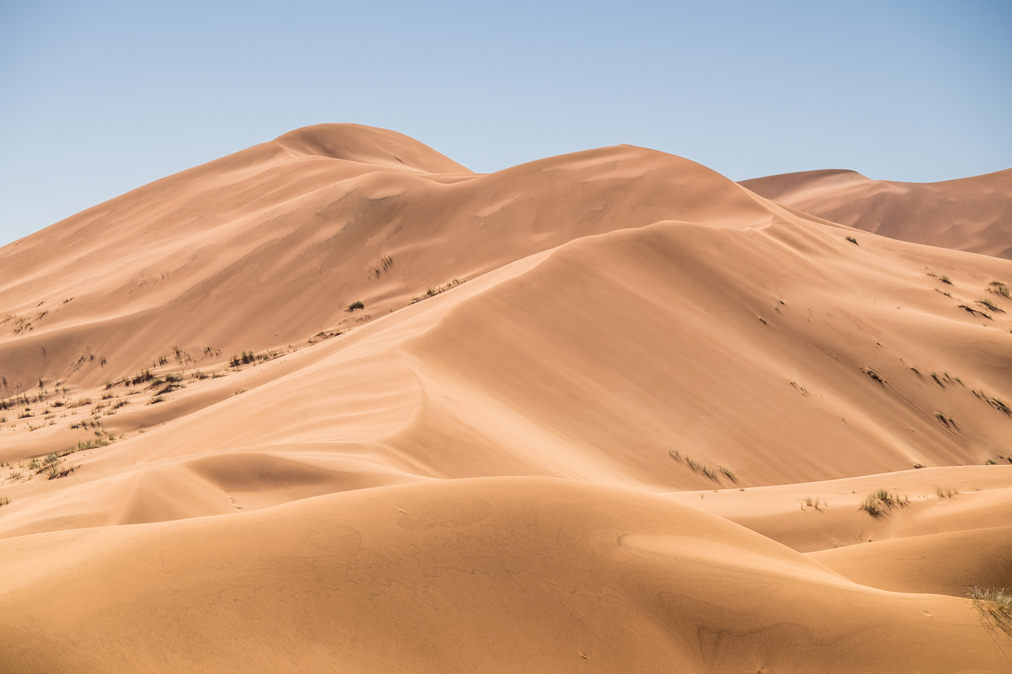 The dunes took on a pale yellow with a metallic sheen colour during the solar eclipse.
