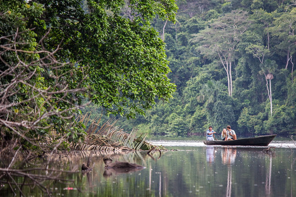 We took a motorboat up the main river and used paddle-power for our wildlife viewing.