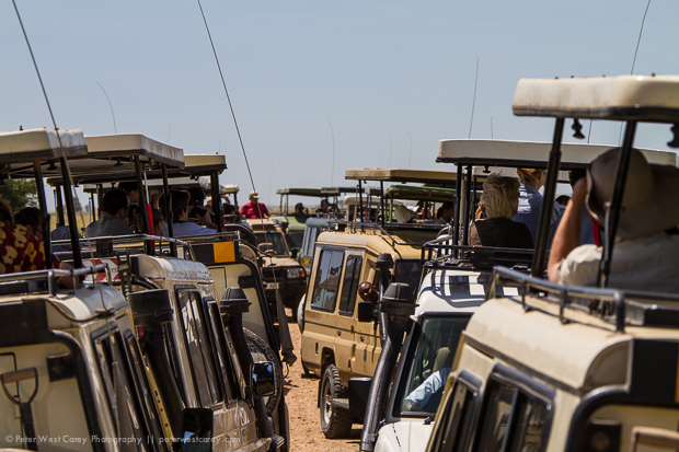 <p>Rush hour in Africa.</p> Rush hour in Africa.