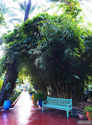 <p>Jardin Majorelle</p>