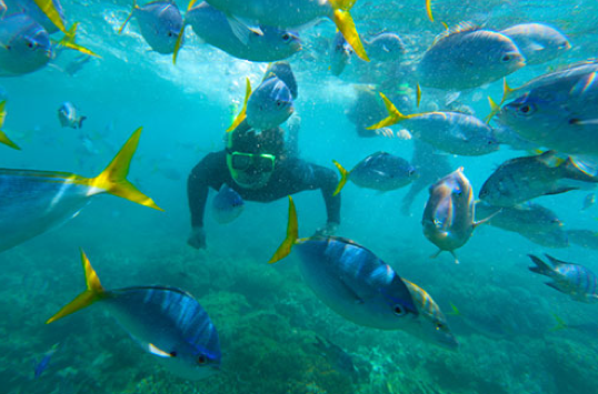 Great Barrier Reef - Queensland, Australia