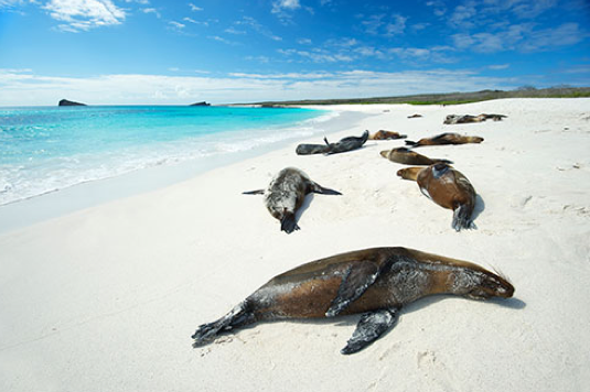Galápagos Islands - Eastern Pacific Ocean, Ecuador