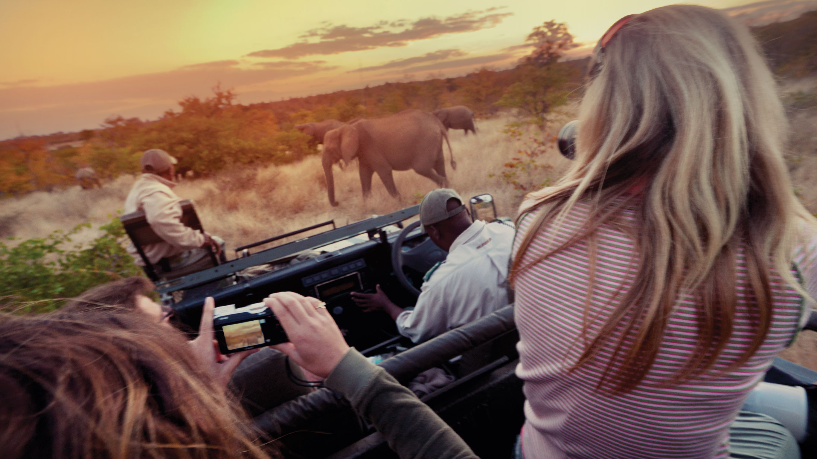Image of Amboseli Safari Experience