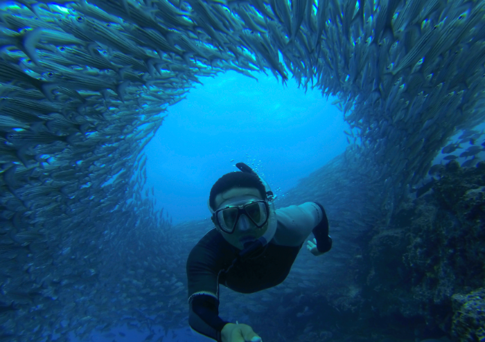 if octopus spotting doesn't work out you can try working on your underwater sea-lfies