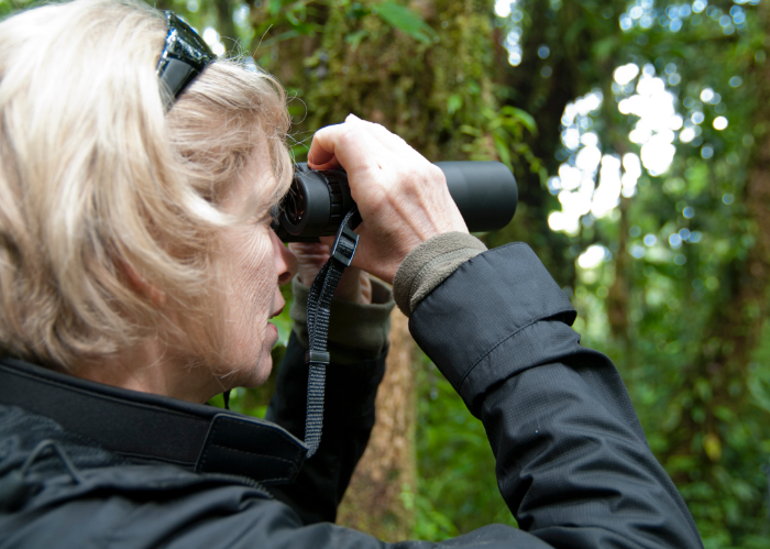 some places have loaner binoculars but better to bring your own