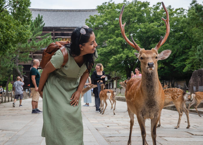 you know you're doing a good job if the deer in Nara nod at you