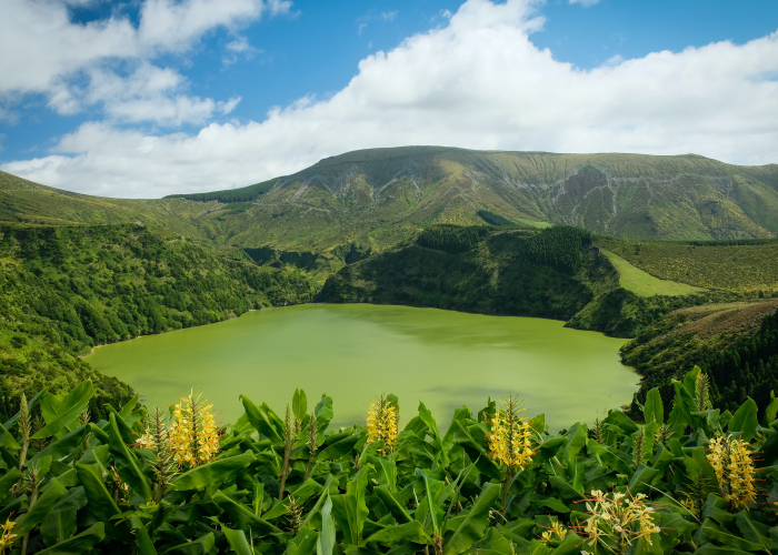 pea soup green water surrounded by spring green leaves and flowers with a view of Sete Cidades in the Azores