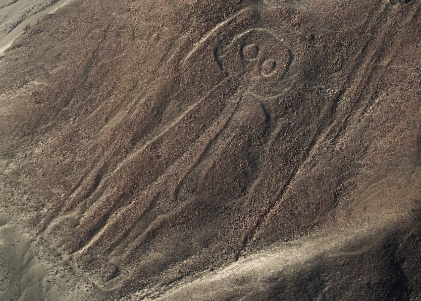 Geoglyphs in plant and animals shapes known as the Nazca Lines from above in Peru