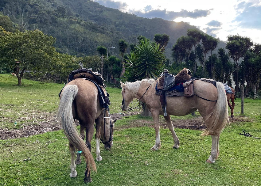 Ecuador pic