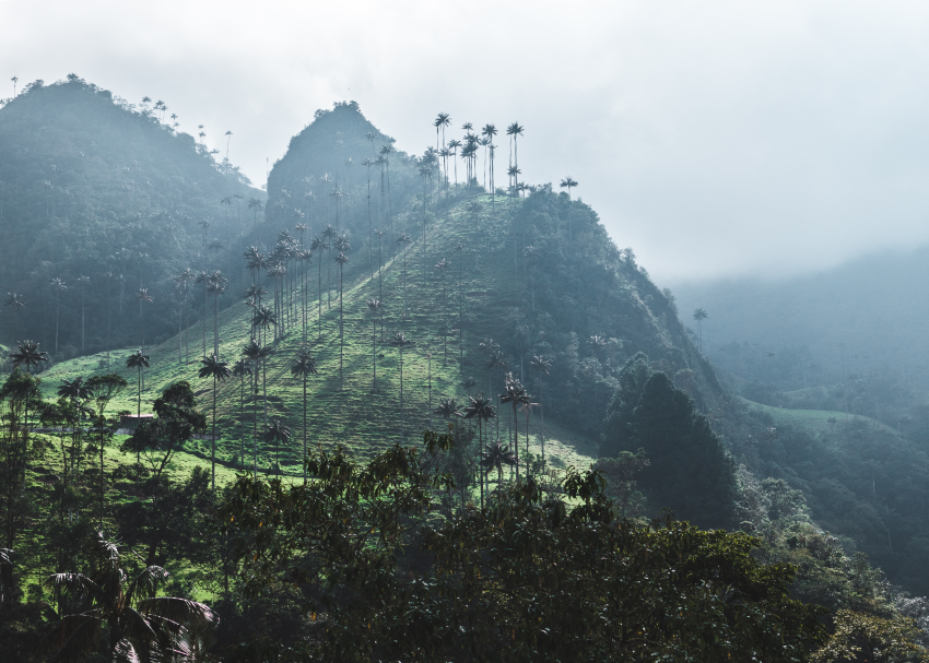 colombia climbs a bit