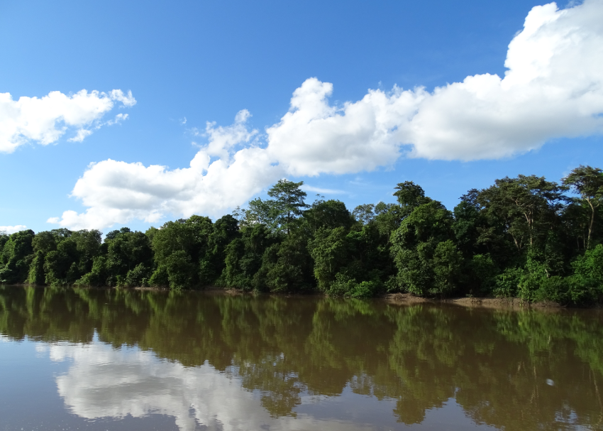 Borneo beyond orangutans - G Adventures