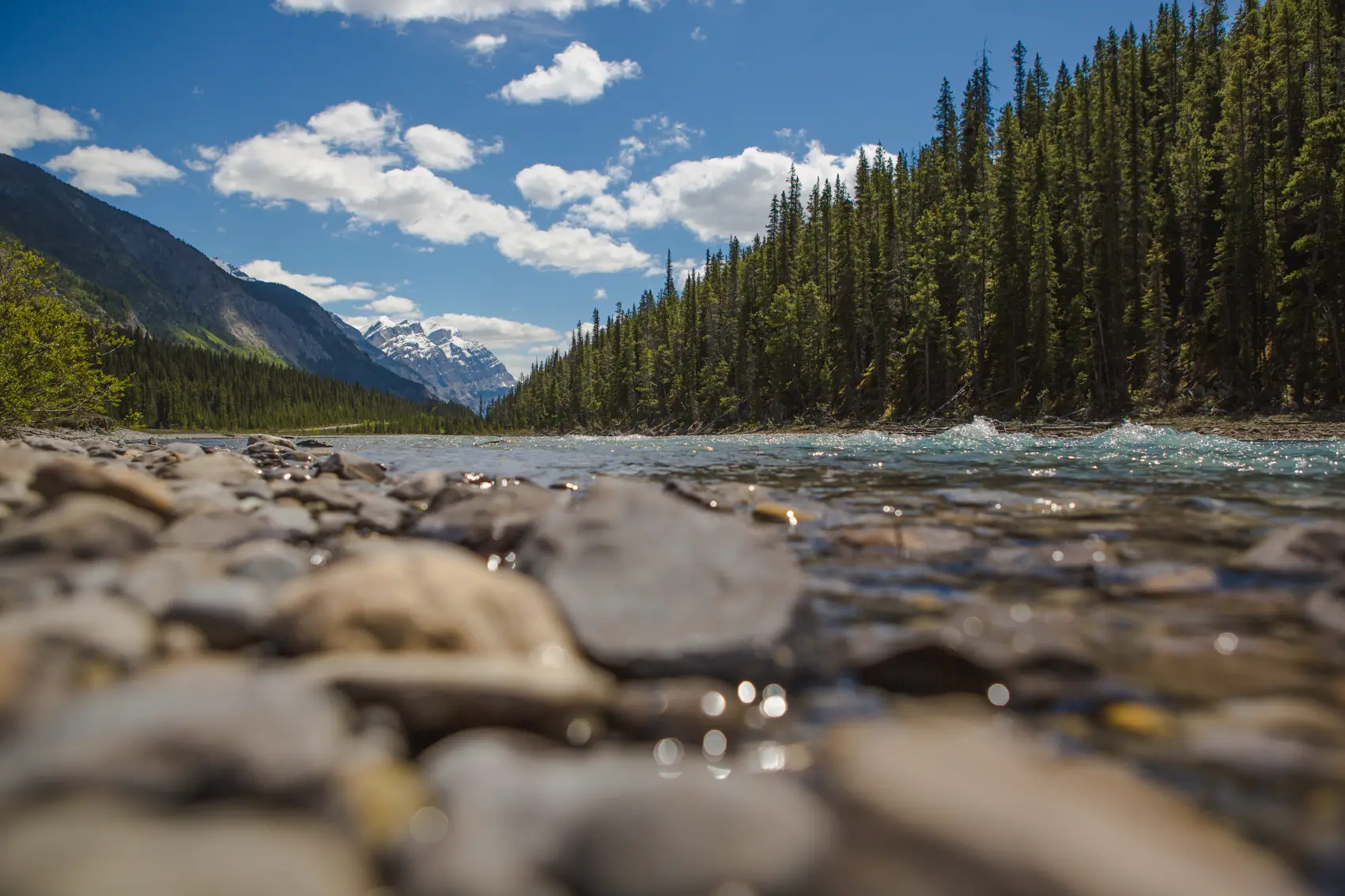 From the perspective of the river rocks, we're looking at the Canadian Rockies wilderness
