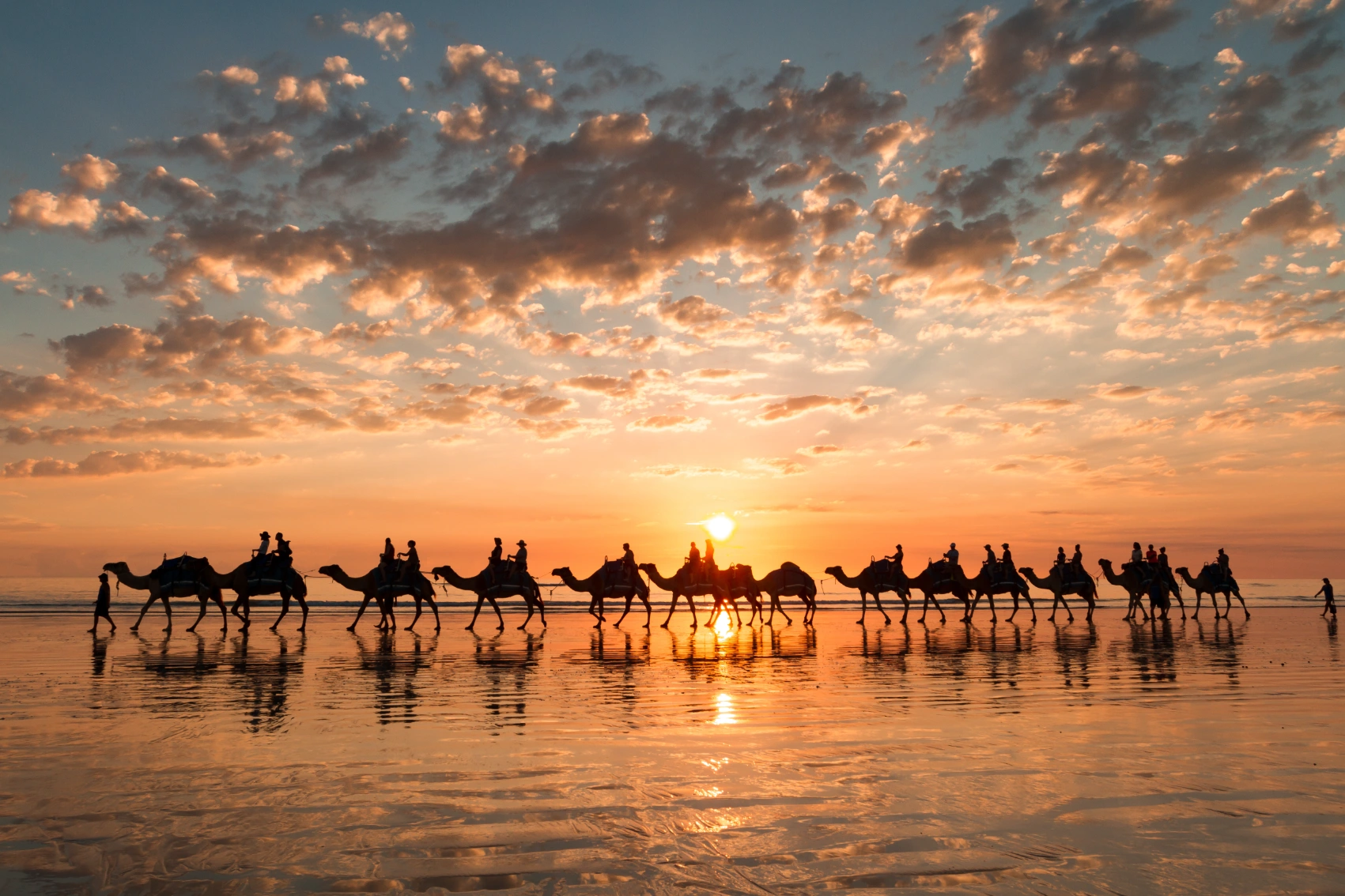 A line of camels with riders walk along Cable Beach at sunset