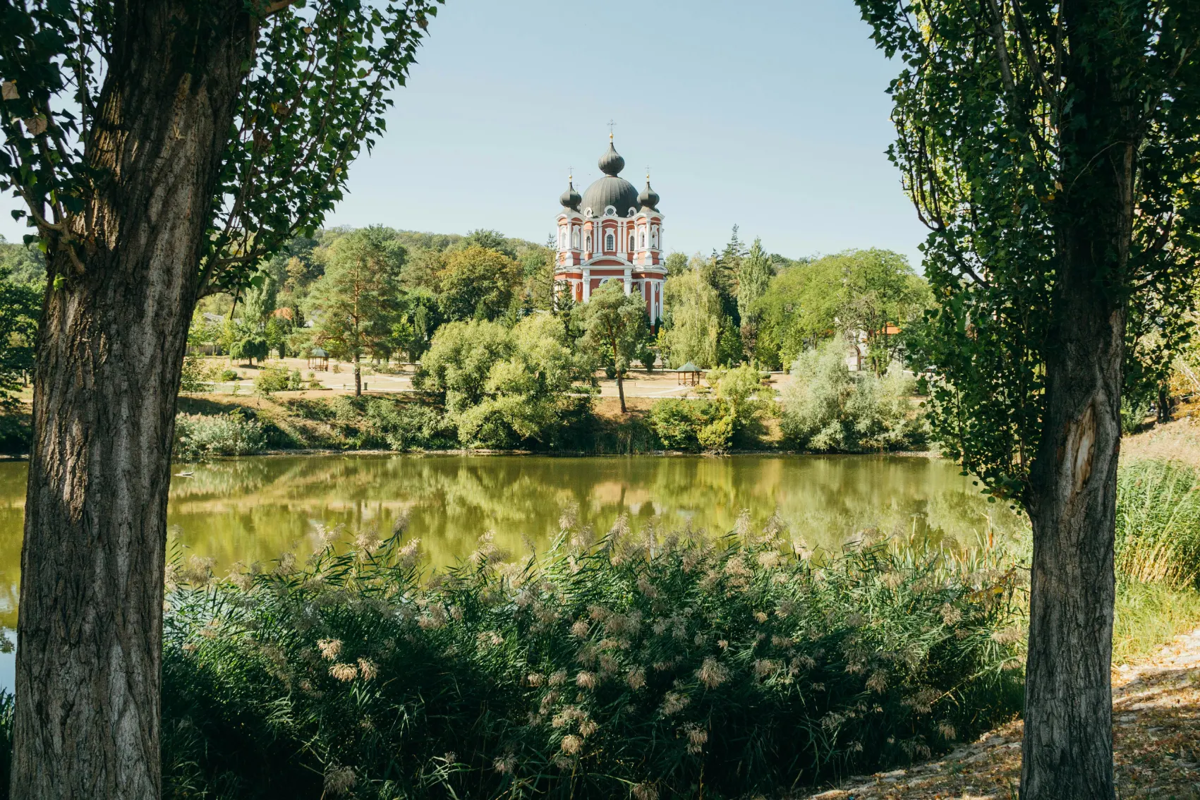 Verdant leafy greens set an idyllic scene with Curchi Monastery and its gilded iconostasis