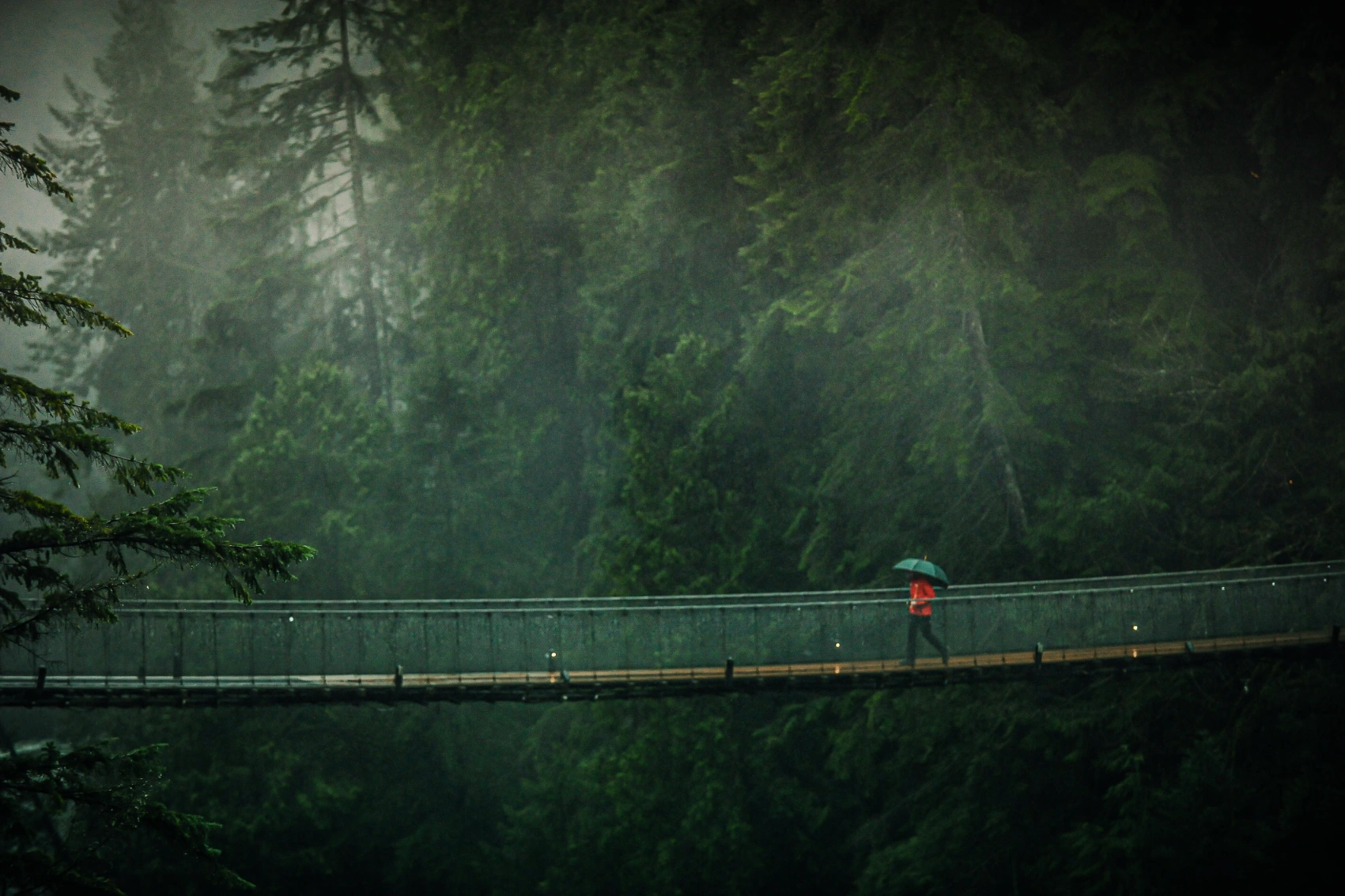 A traveller with an umbrella walks across the Capilano Suspension Bridge near Vancouver