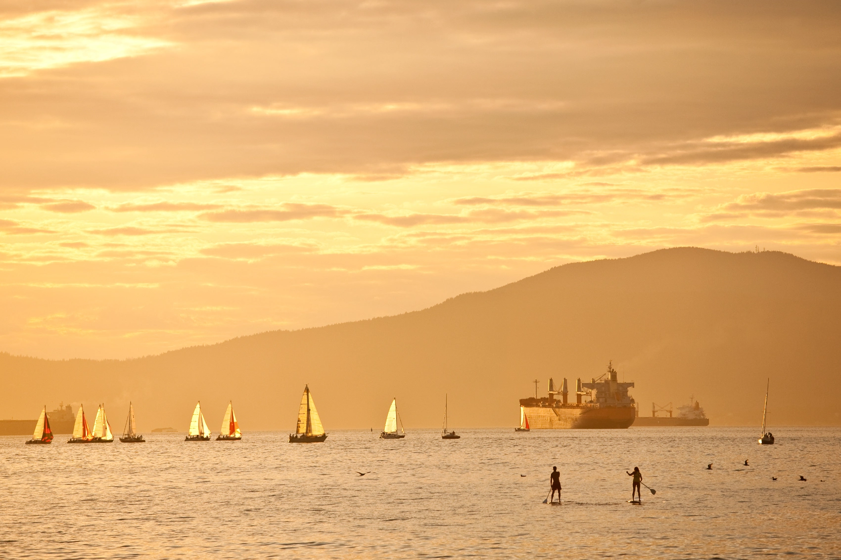 Paddleboarders are on the water with sailboats in the background near Kitsilano Beach, Vancouver