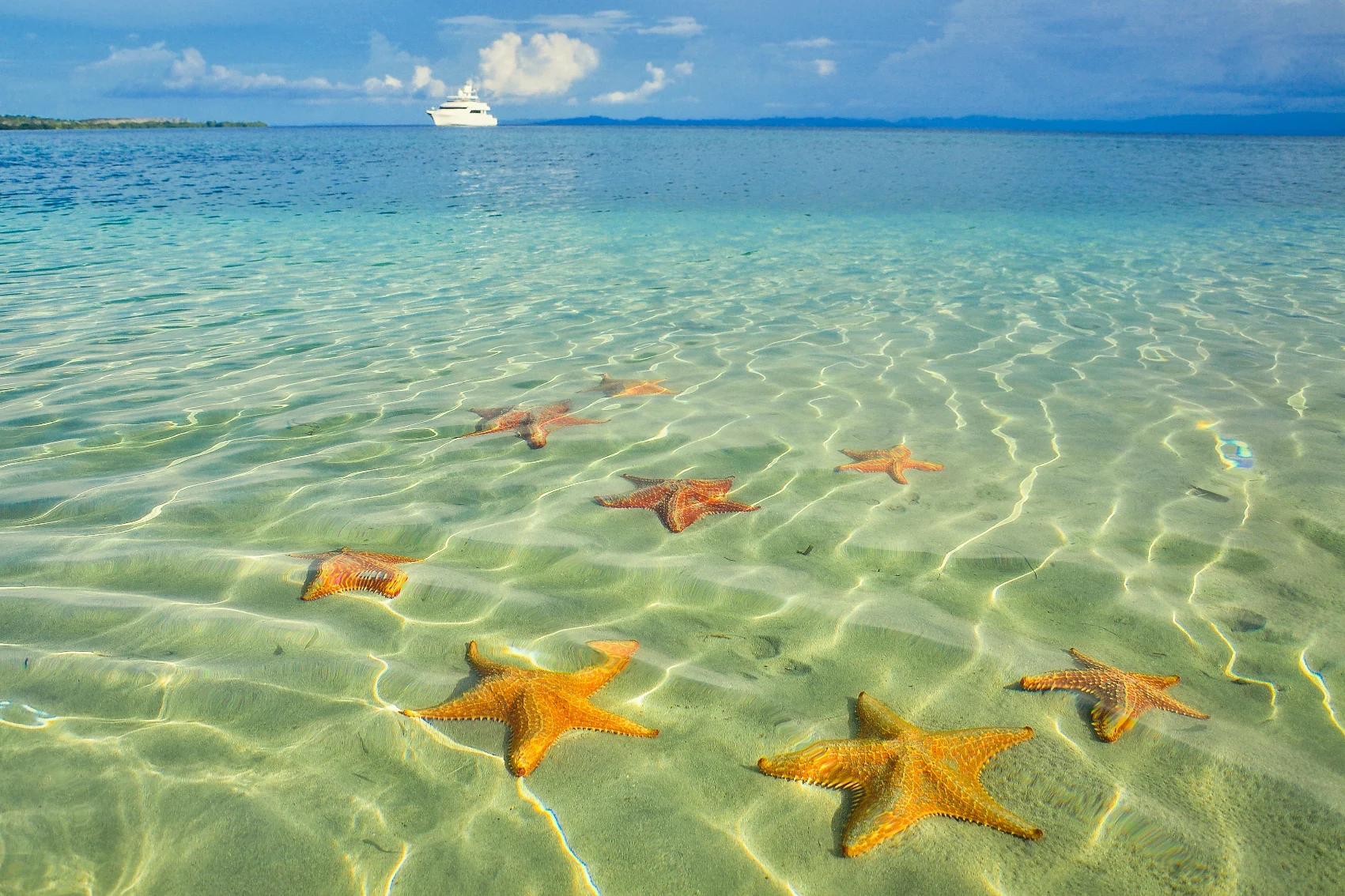 Several starfish in the water near a boat at Starfish Beach, Panama