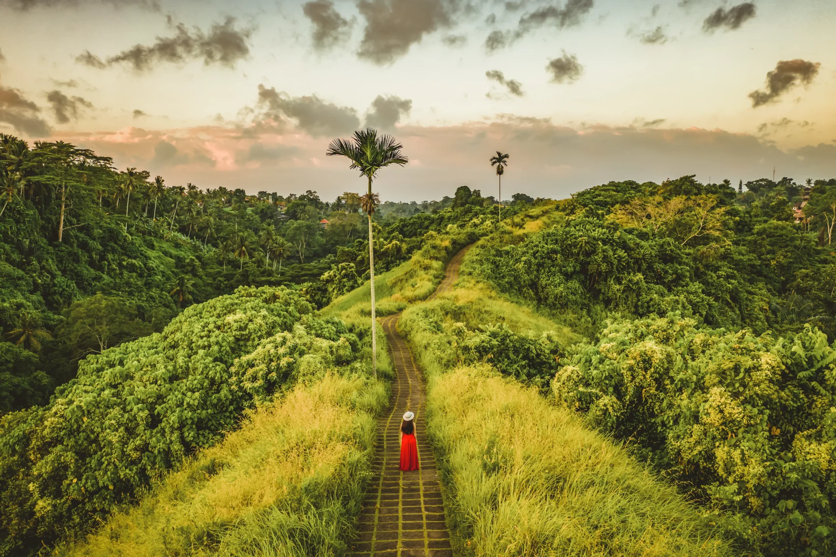 Campuhan Ridge Walk, Bali Bird's-eye view of a traveller walking amid lush jungle on the Campuhan Ridge Walk, Bali