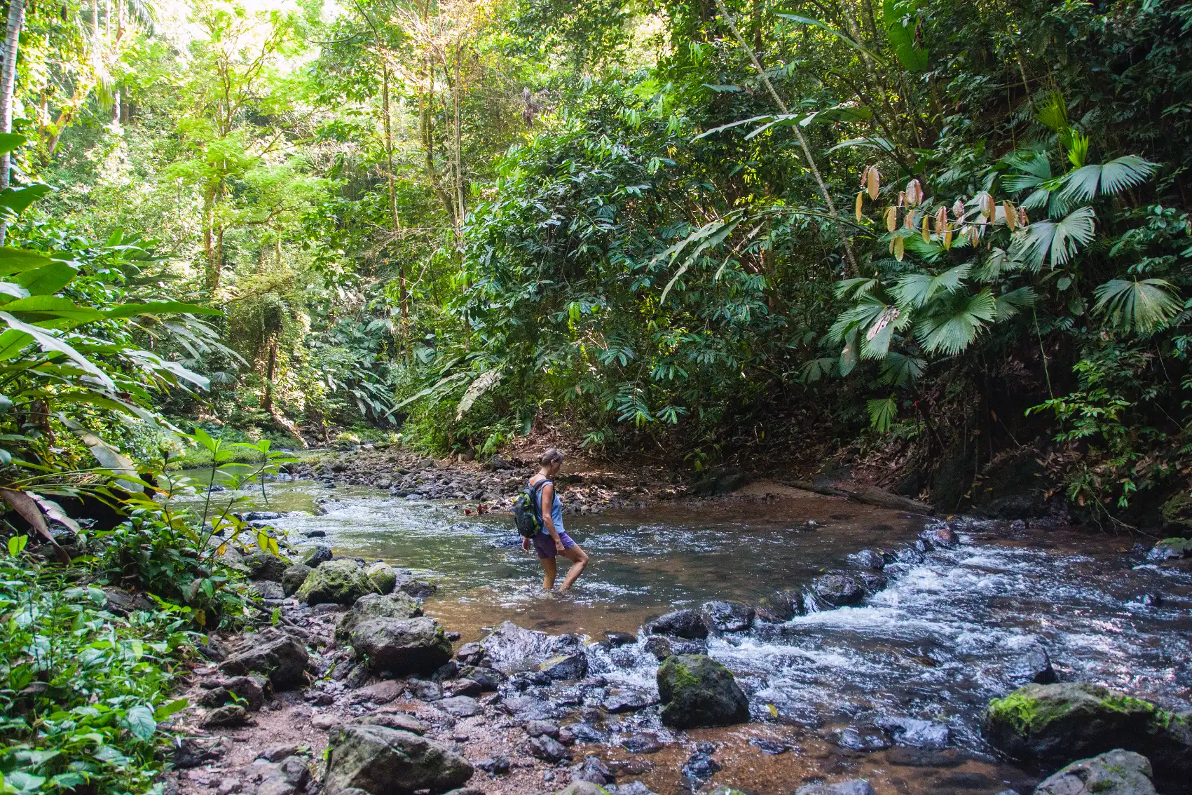 Corcovado National Park hike, Costa Rica A woman hiker walks through a shallow river surrounded by jungle in Corcovado National Park in Costa Rica