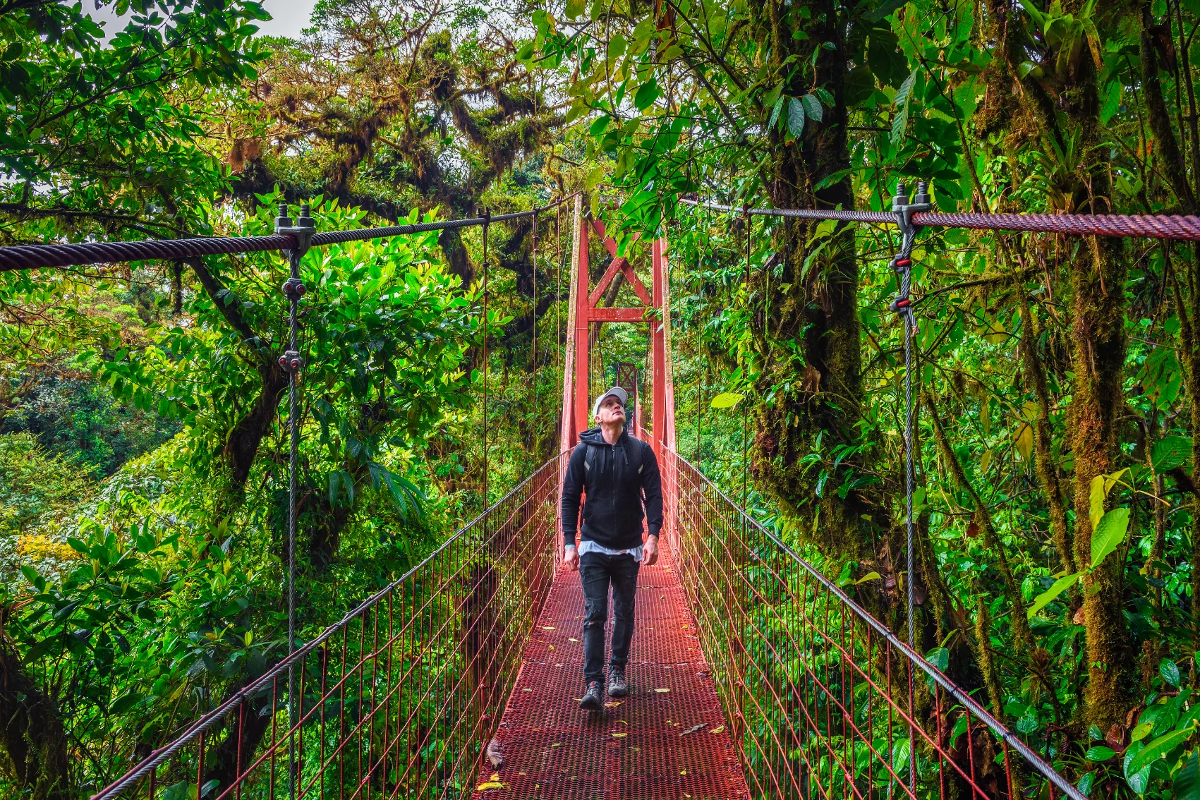 Monteverde Cloud Forest hike, Costa Rica A male hiker walks on a suspension bridge surrounded by jungle in Monteverde Cloud Forest in Costa Rica