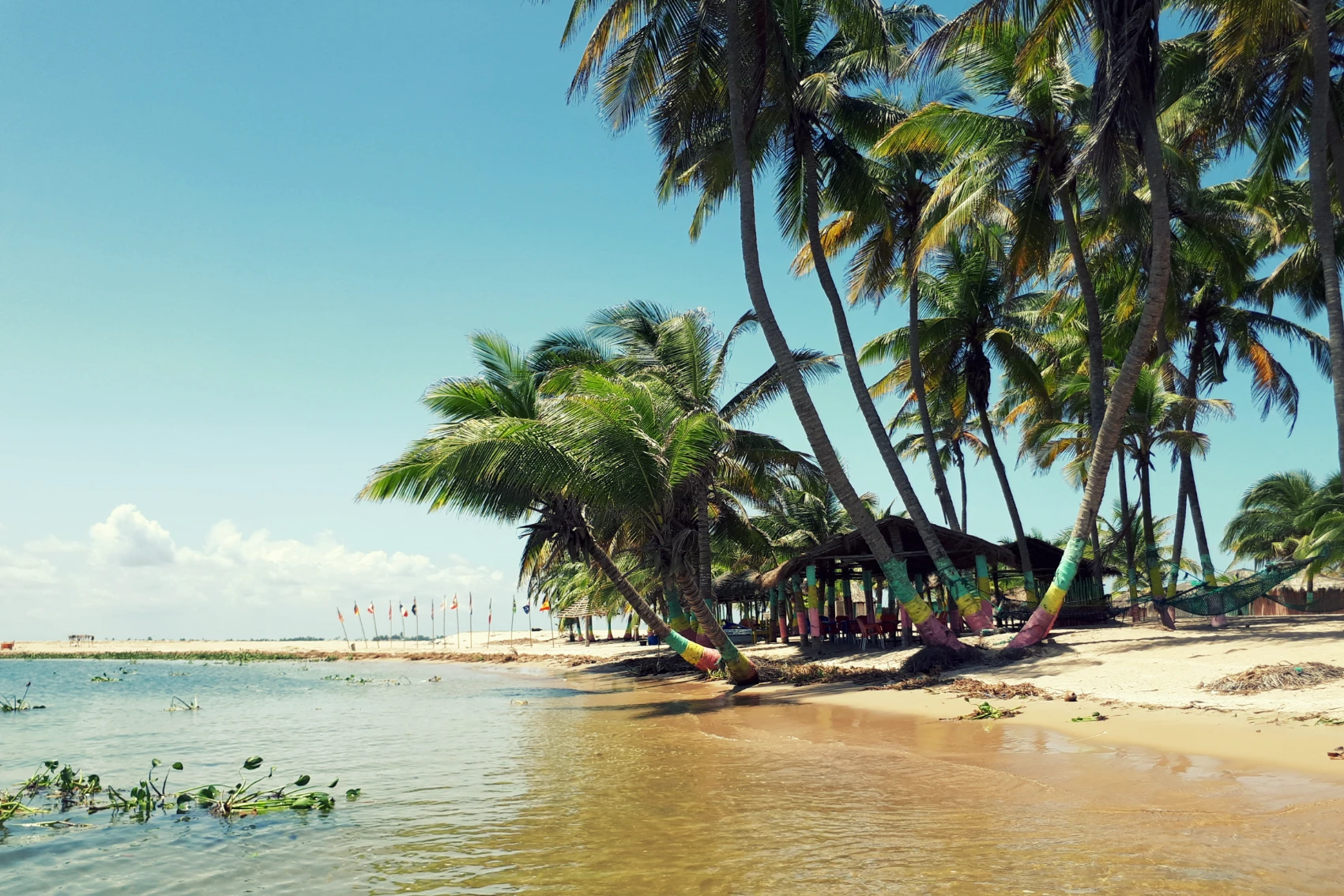 Ada Foah Beach, Ghana Palm trees dip toward the water at Ada Foah Beach, Ghana