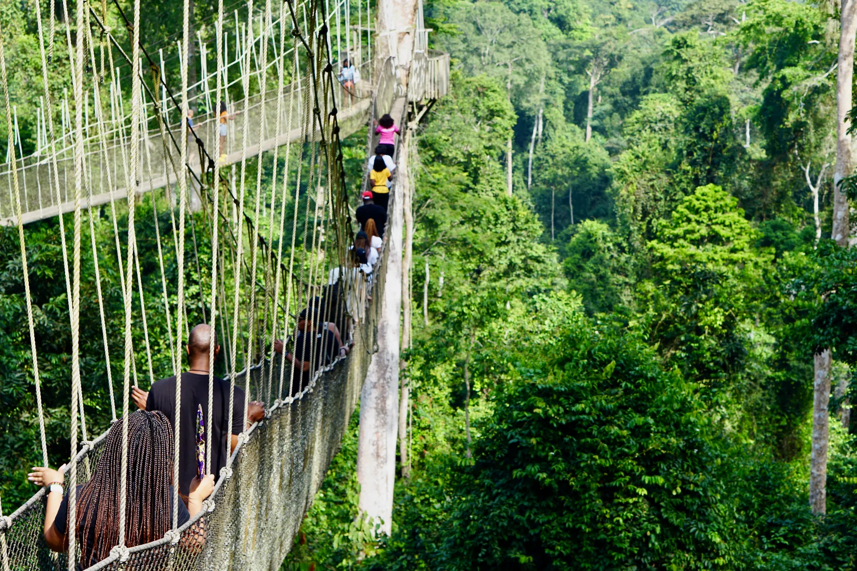 People walk on the Kakum Canopy Walkway through the jungle in Kakum National Park, Ghana