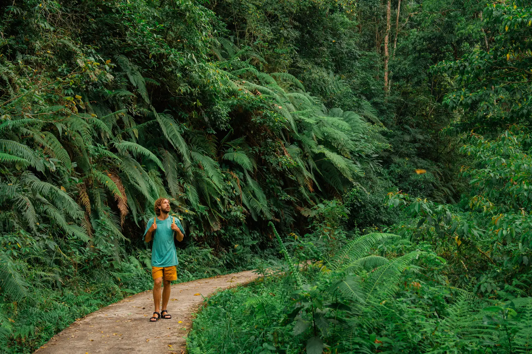 Hiking in Indonesia A man hikes through lush jungle in Indonesia