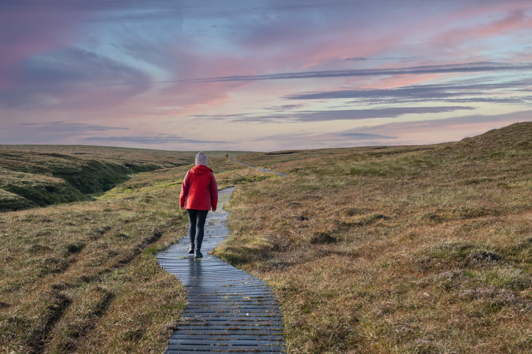 A woman walks on a boardwalk through a wide meadow in the Shetland Islands, Scotland