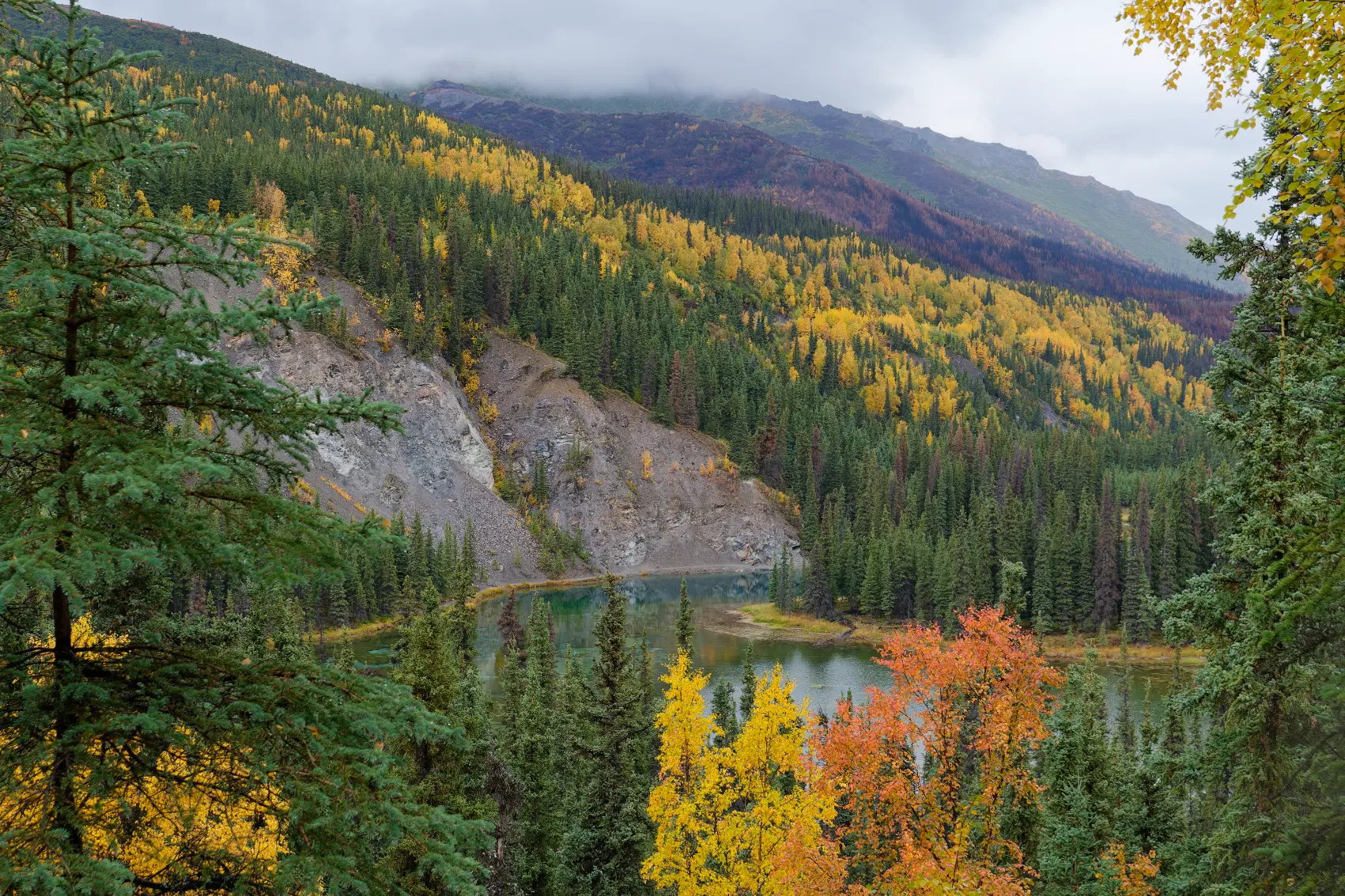Autumn colours in the trees surrounding Horseshoe Lake, Alaska