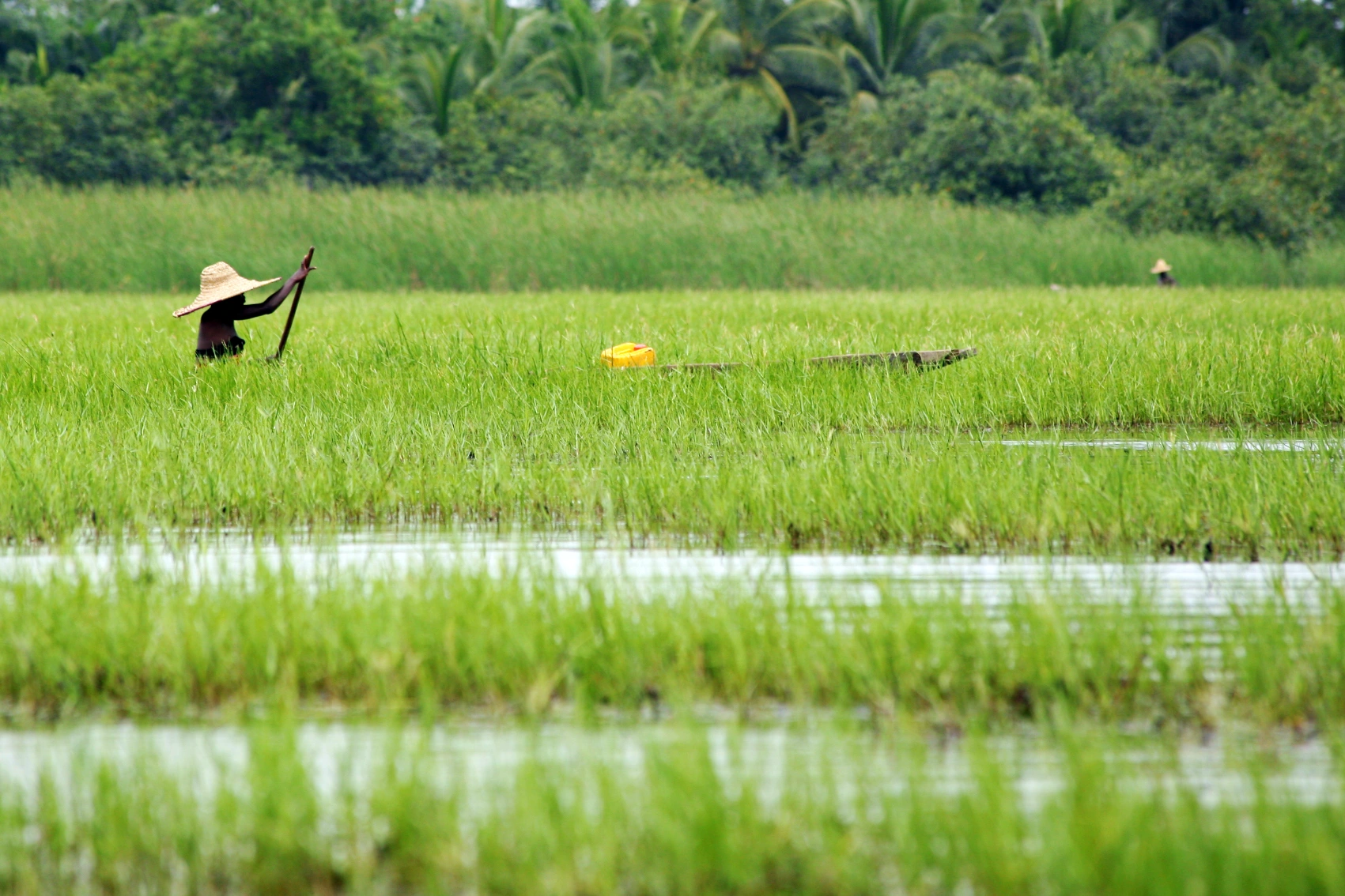 A person paddles a traditional boat through a river surrounded by greenery in Ganvié, Benin