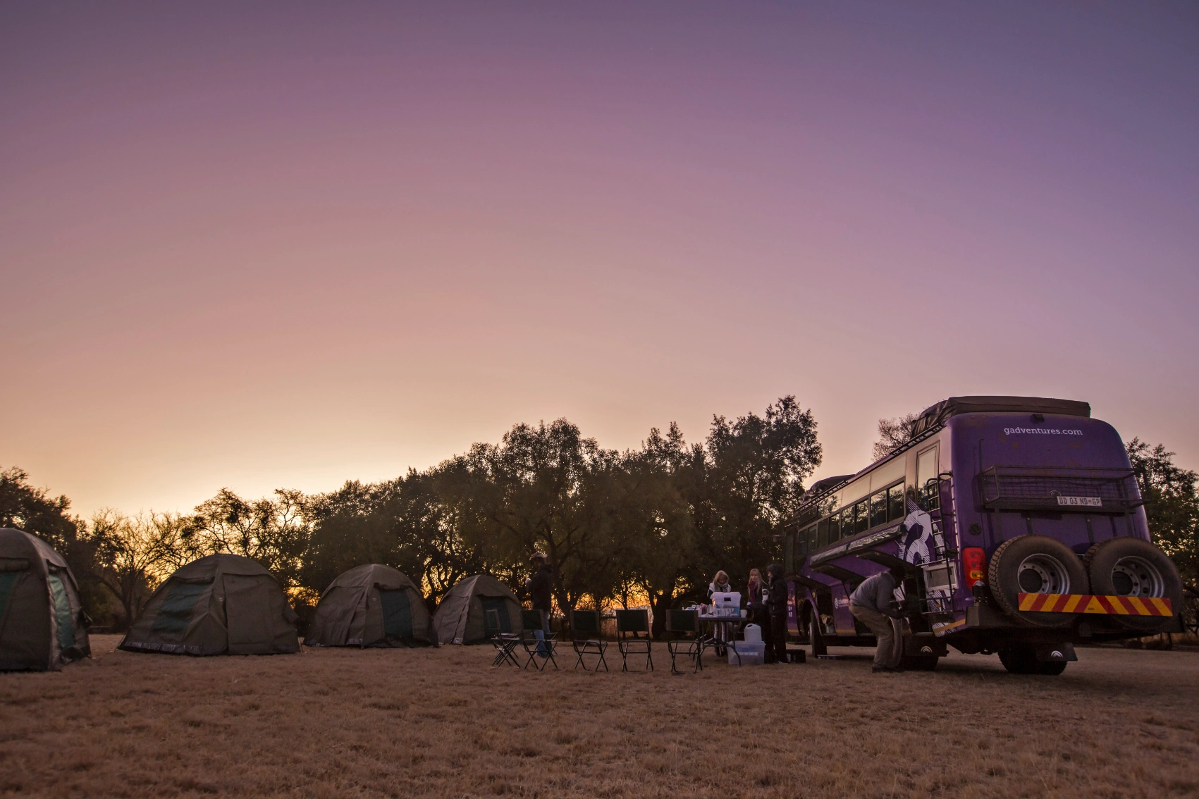 Tents are set up in the bush in South Africa at sunset