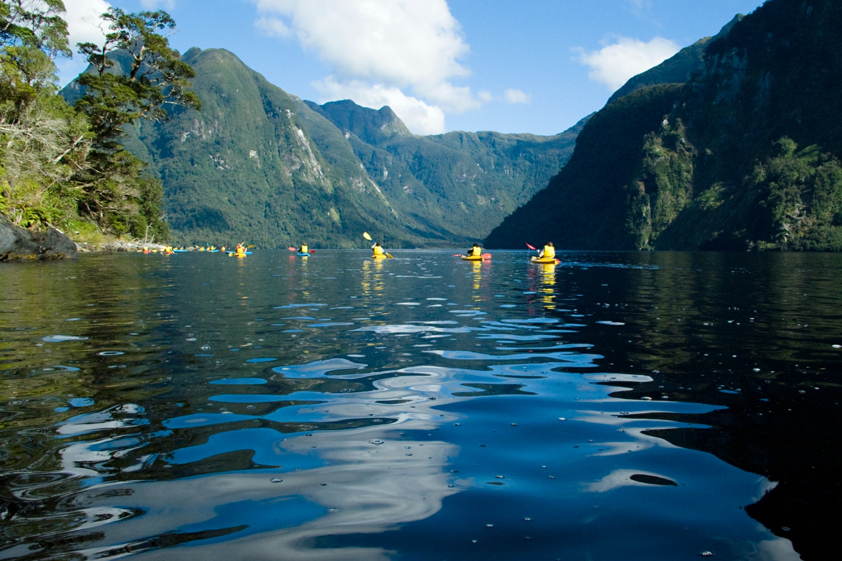A group of travellers paddles their kayak through Doubtful Sound in New Zealand