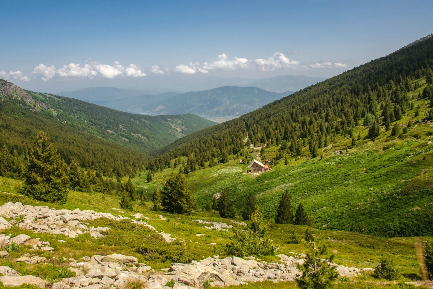 A cabin on a forested mountainside in Pelister National Park, North Macedonia