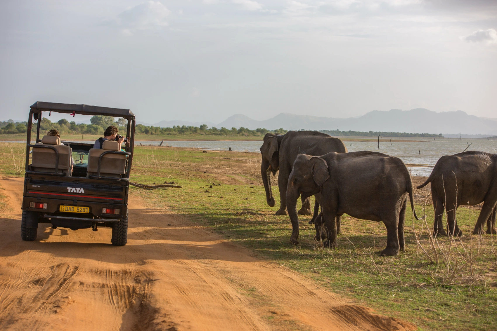 A traveller takes a photo of elephants from a safari truck in Sri Lanka's national parks