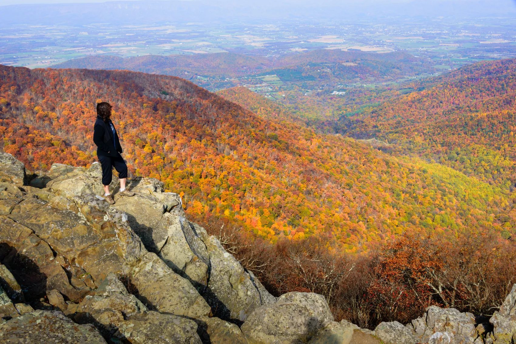 Fall in Shenandoah National Park A woman hiker stands on a cliff edge looking over a forest of colour-changing trees in fall in Shenandoah National Park
