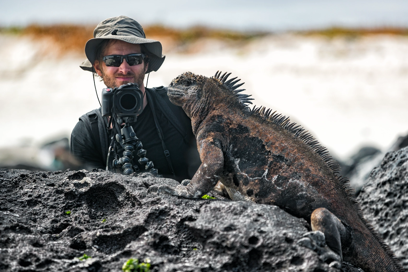 Iguana on the Galápagos Islands A traveller stands behind a camera pointed at an iguana on the Galápagos Islands, Ecuador