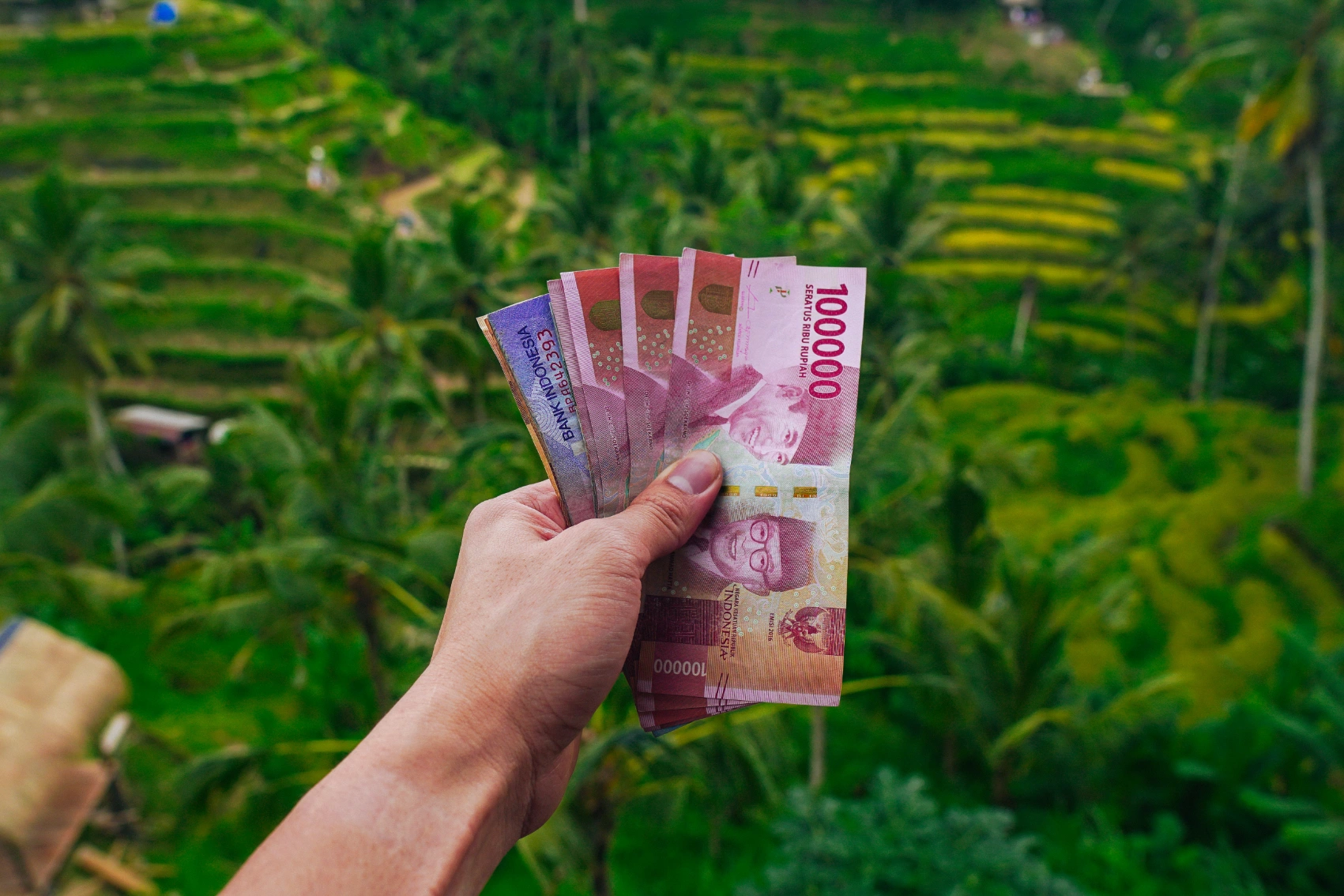 Money in Indonesia A traveller holds up Indonesian money in front of a rice terrace in Indonesia