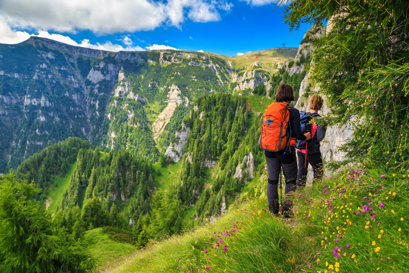 Two women travellers hike in the Carpathian Mountains surrounded by grass and wildflowers in Transylvania, Romania