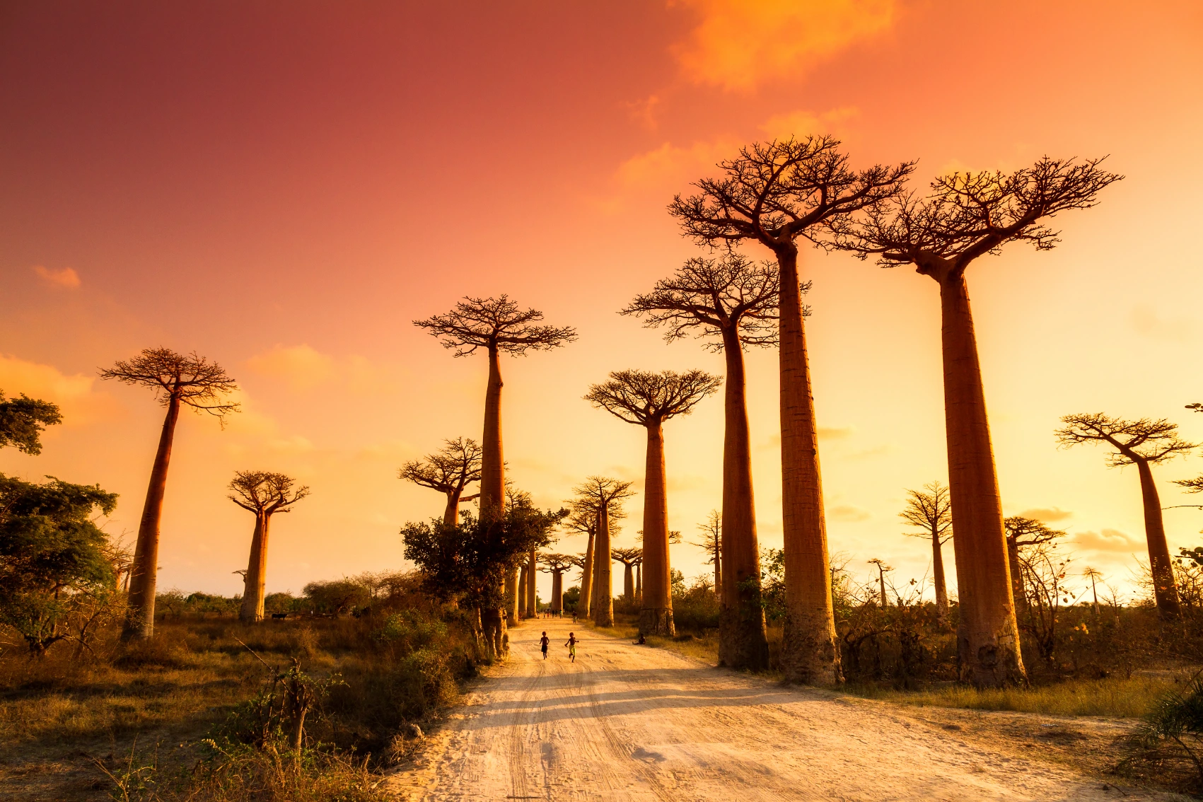 Two people walk along Baobab Alley at sunset in Madagascar